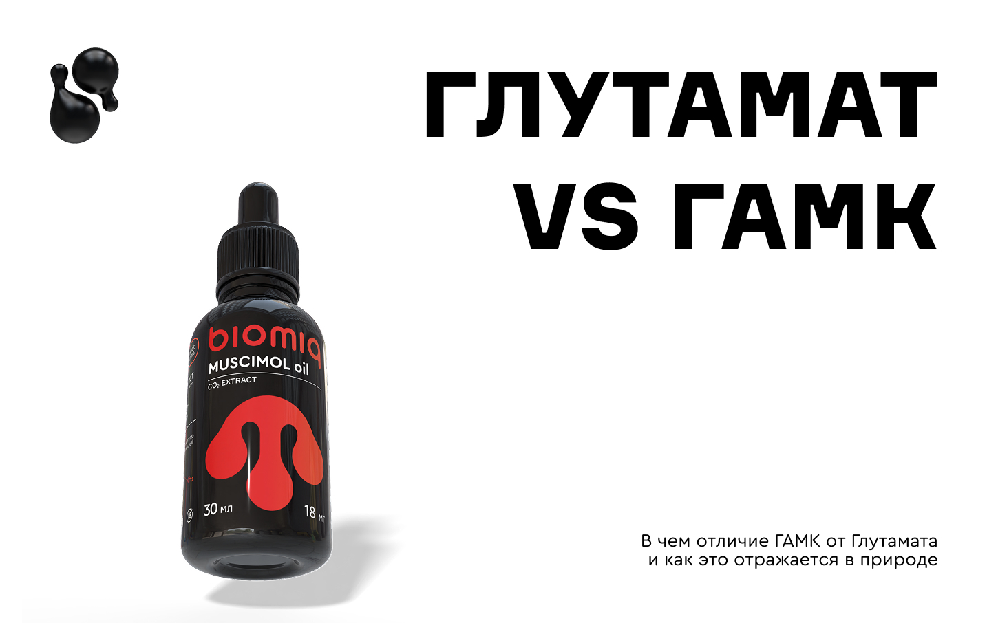 ГАМК и глутамат: торможение и возбуждение
